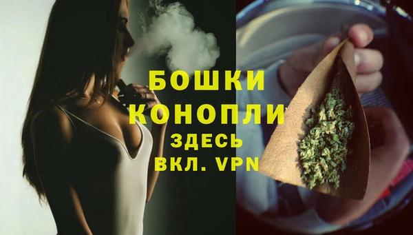 СК Новозыбков