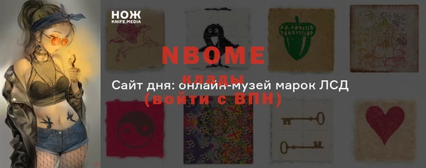 СК Новозыбков