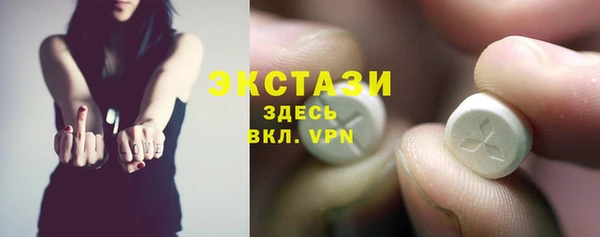 СК Новозыбков
