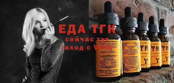 СК Новозыбков