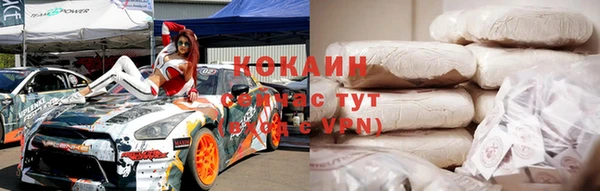 СК Новозыбков